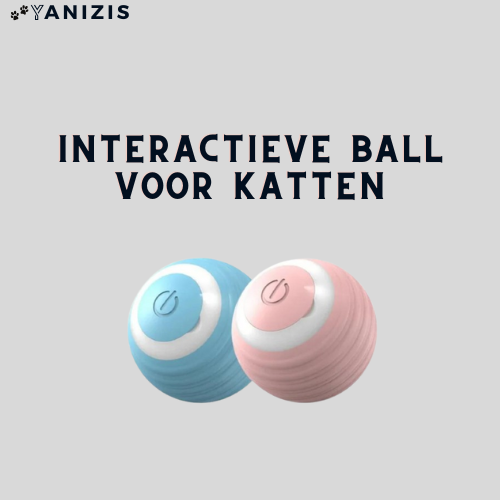 Yanizis® | Balle Intelligente Interactive pour Chat