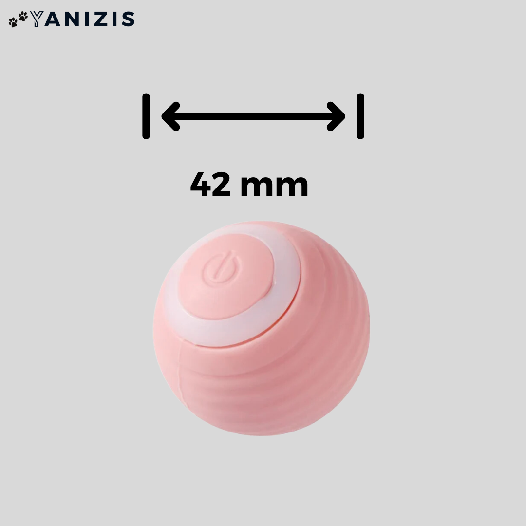 Yanizis® | Balle Intelligente Interactive pour Chat