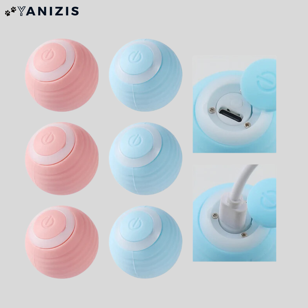 Yanizis® | Balle Intelligente Interactive pour Chat