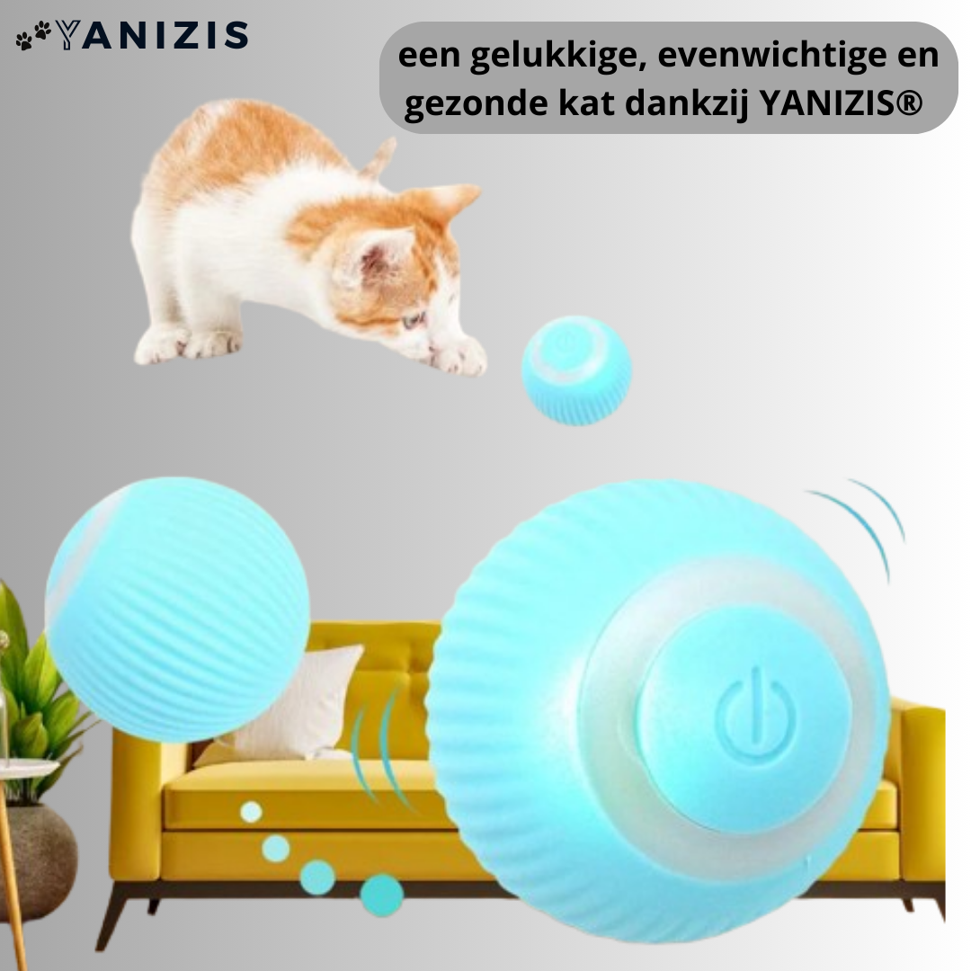 Yanizis® | Balle Intelligente Interactive pour Chat